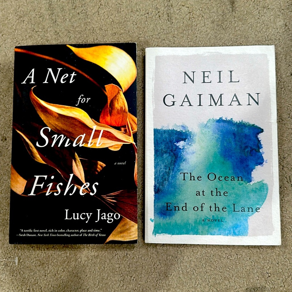 A Net for Small Fishes & The Ocean at the End of the Lane BOOKS